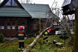 Tatry. Zamknęli szlak na Wiktorówki. Bo zatarasowały go powalone drzewa