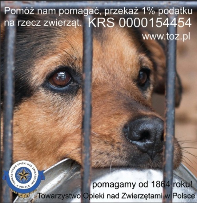 Towarzystwo Opieki nad Zwierzętami w Polsce zostało założone 1 ...