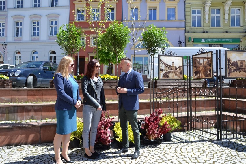 Będzie zielono! Kilkaset krzewów przy drodze w Drogosławiu