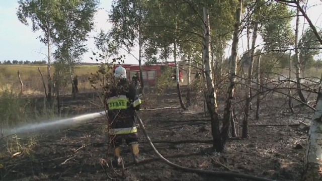 Pożar w śląskim. Spłonęło 20 ha