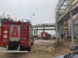 Kolejna akcja strażaków w Bioagrze w Goświnowicach