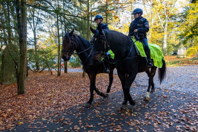 Konna policja w Szczecinie. Cynober z komisarz strzegą porządku na Cmentarzu Centralnym