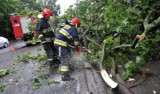 Orkan Ksawery na Śląsku Cieszyńskim: 60 interwencji strażaków