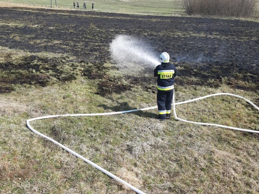 45 zdarzeń

Pożary: 17
Miejscowe zagrożenia (wypadki,...