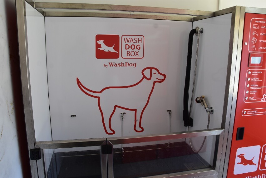 W Wałbrzychu jest samoobsługowa myjnia dla psów – Wash Dog Express! 