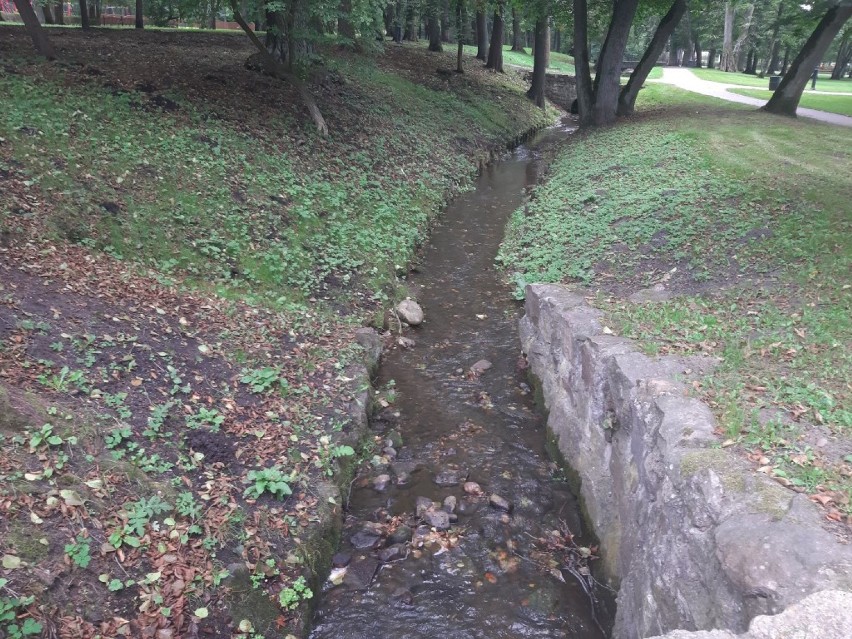 Pierwsze oznaki jesieni w parku w Wejherowie