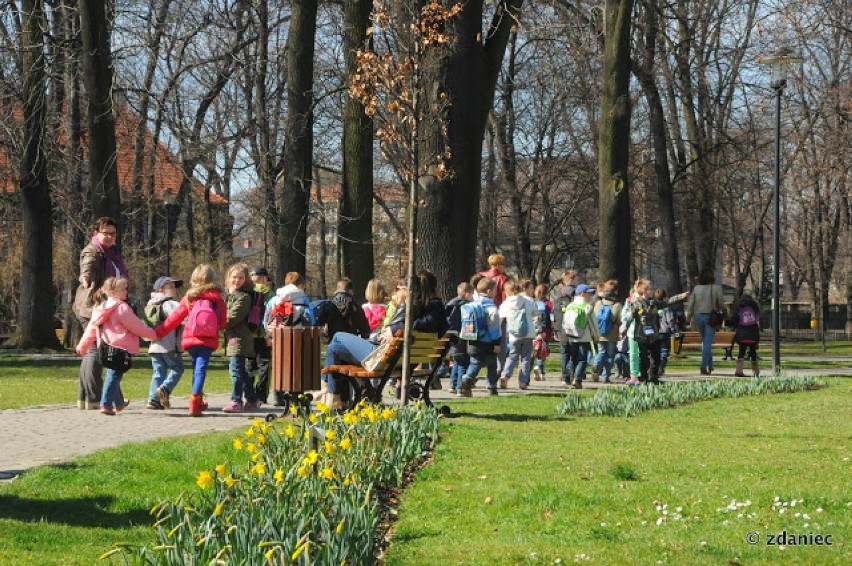 Wiosna w Gliwicach. W obiektywie Zdzisława Dańca