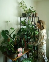 Jak stworzyć domową dżunglę? Przeczytajcie rozmowę z blogerką Agnieszką Śliwką 