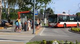 Dąbrowa Górnicza: autobus 716 nad Pogorię III będzie jeździł przez cały rok 