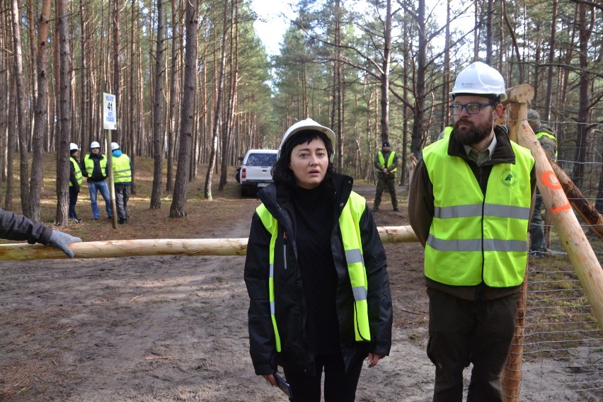 Mierzeja Wiślana. Po raz czwarty przesunięto termin otwarcia ofert