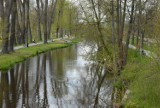 Park Bulwary i Solidarność w Tomaszowie wiosną. Warto wybrać się na spacer ZDJĘCIA