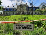 Złoto pod Namysłowem? Poszukiwacze skarbów szukają 10 ton hitlerowskiego złota, które ma być ukryte w pałacu [ZDJĘCIA]