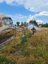 Powiat gostyński. Strażacy mieli sporo do gaszenia. Pożary wybuchły niemal w tym samym czasie [ZDJĘCIA]