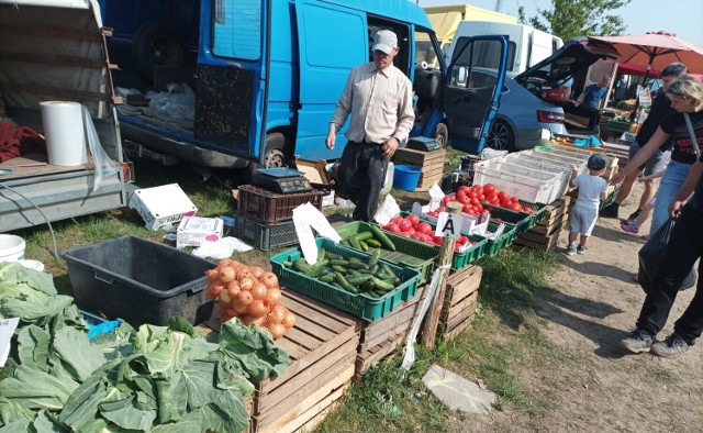 Na targowiskach dostępne są wczesne krajowe ziemniaki, kapusty i kalafiory. Ceny poszły sporo w górę w stosunku do ubiegłego roku. W ciągu miesiąca staniały ogórki. Teraz kupimy je za 6-10 zł za kg. Zobacz więcej cen w galerii