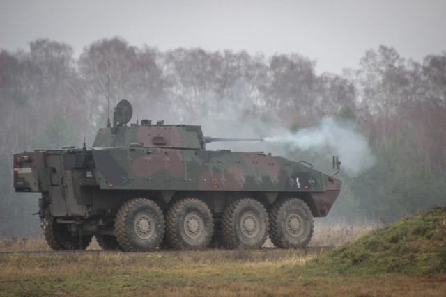 1 batalion Ziemi Rzeszowskiej jako pierwszy w 17 Wielkopolskiej Brygadzie Zmechanizowanej oraz jeden z pierwszych w kraju został w pełni uzawodowiony. Kadra batalionu może poszczycić się dużym doświadczeniem zdobytym zarówno w warunkach pokojowych, jak i bojowych, podczas pełnienia służby w misjach poza granicami kraju. Być może, dlatego na żołnierzy 1 batalionu spada wiele odpowiedzialnych i wymagających zadań.