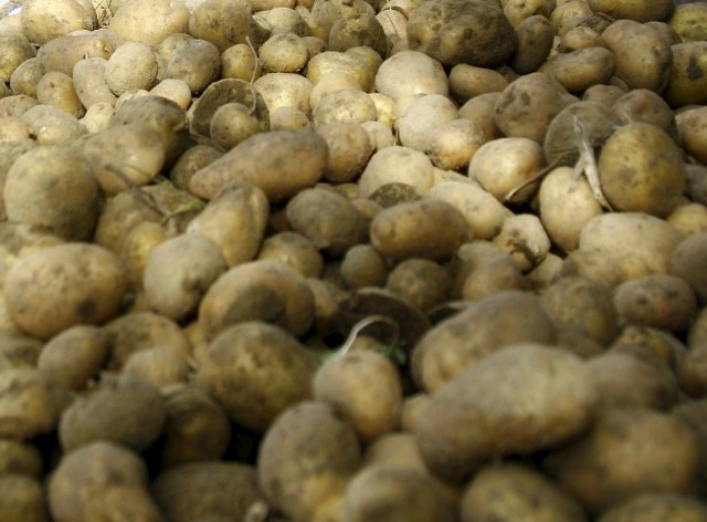 Do zupy ziemniaczanej potrzebujemy 60 dag ziemniaków/zdjęcie ilustracyjne