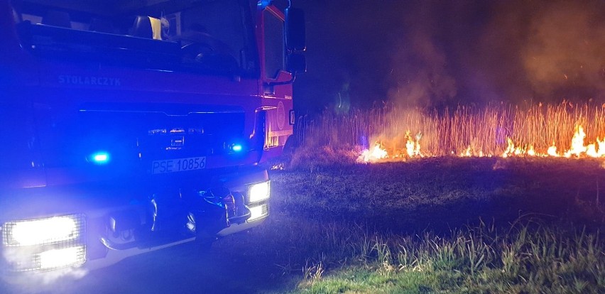 Nocny pożar traw w Konarskiem w gminie Książ Wlkp.