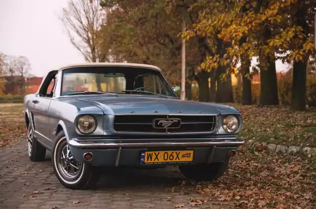 Z kolei oryginalny Mustang – ikona amerykańskiej motoryzacji, należy do ulubionych aut reżyserów czy producentów, bowiem premiera pierwszego egzemplarza transmitowana była w telewizji, a kolejnymi modelami jeździli James Bond w filmie „Diamonds are forever” czy Louis de Funès w „Żandarmie z Saint-Tropez”. Wyjątkowy egzemplarz Forda Mustanga z 1965 roku w wersji cabrio pojawi się w grudniu na aukcji, a jego szacowana wartość to 120 do 140 tys. złotych.