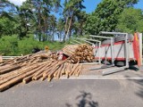 Wypadek! Ciężarówka z drewnem wypadła z drogi pod Krosnem Odrzańskim. Pękła opona, drzewo spadło na jezdnię