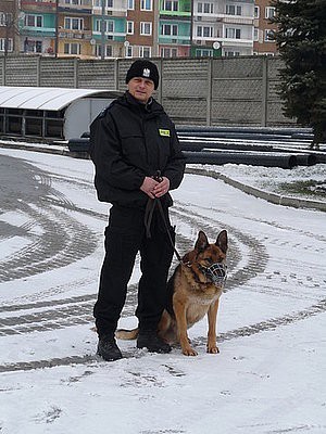 Jastrzębie: Policyjne psy na szkoleniu. Ares i Lupo już sporo potrafią  FOTO