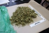 Narkotyki w Rybniku: 23-latek miał przy sobie marihuanę z której można było zrobić 60 działek