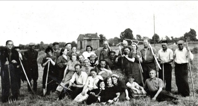 Pracownicy GS w Mokrem (gmina Zamość) pomagają przy żniwach. Zdjęcie wykonano w okolicach wsi Płoskie w 1955 r. Fotografię przekazał do APZ Antoni Rawiak