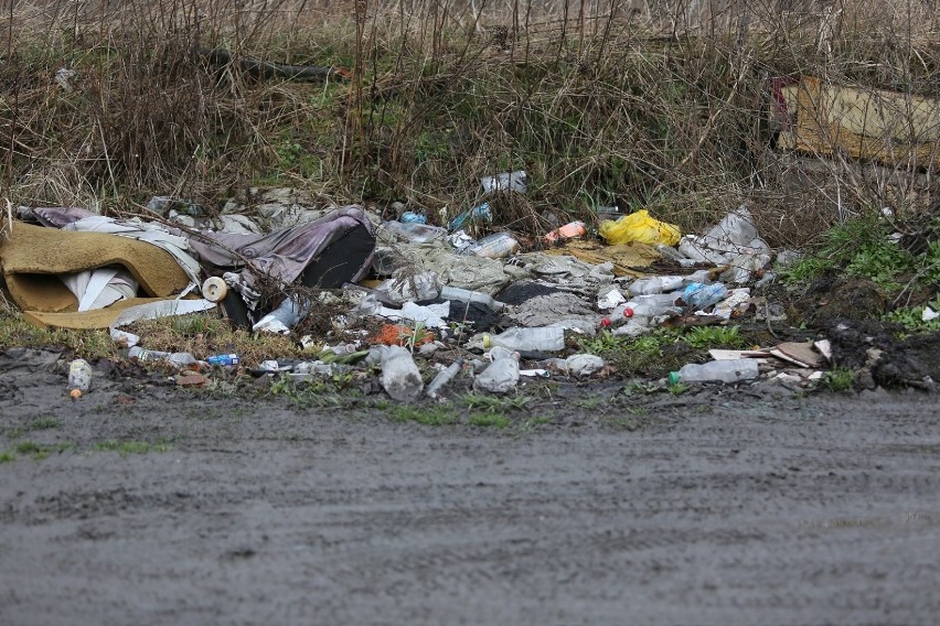 Małopolska zachodnia. Dzikie wysypiska śmieci odradzają się na potęgę  