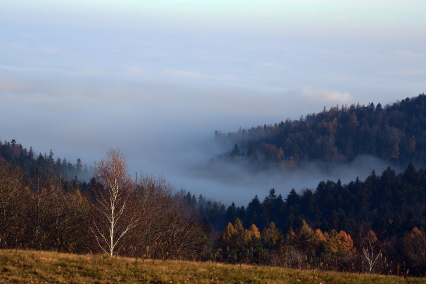 Gęste mgły na terenie powiatów sanockiego, krośnieńskiego i leskiego [ZDJĘCIA]