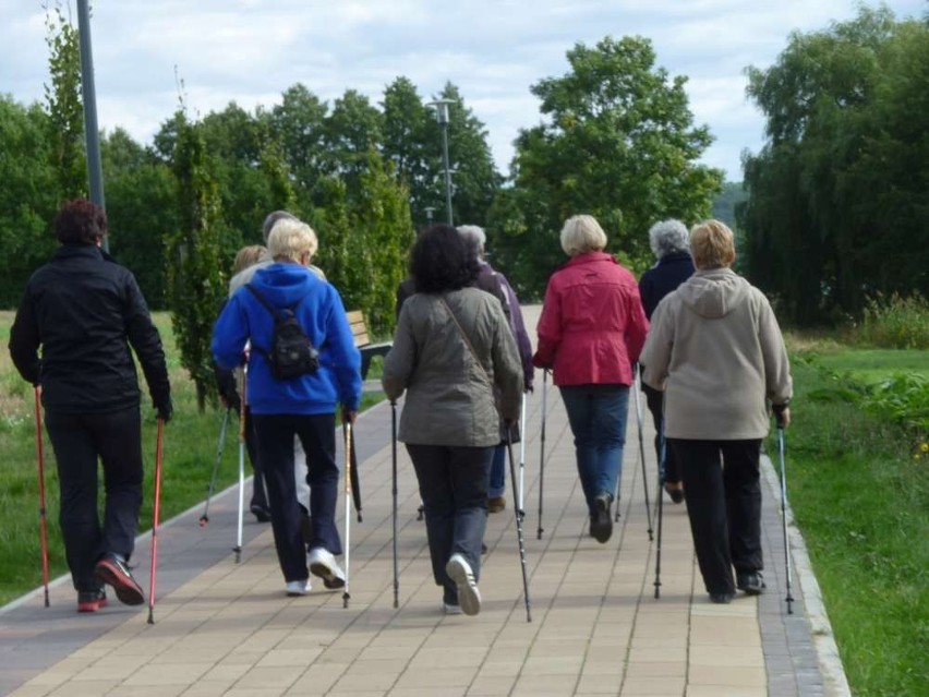 Marsz Seniora w Chodzieży: 80 osób przemaszerowało promenadą