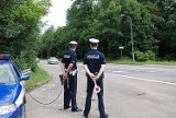 Policja z Siemianowic: Trzech jechało na podwojnym gazie