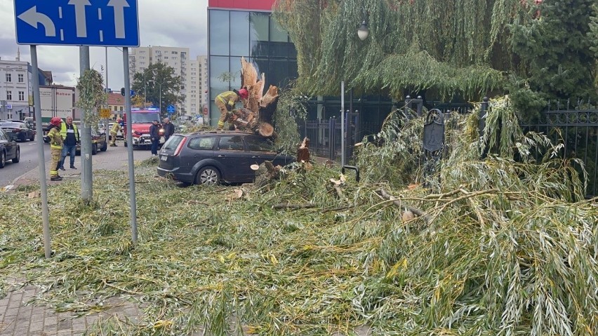 Zielona Góra mierzy się z silnym wiatrem. Drzewa i gałęzie...