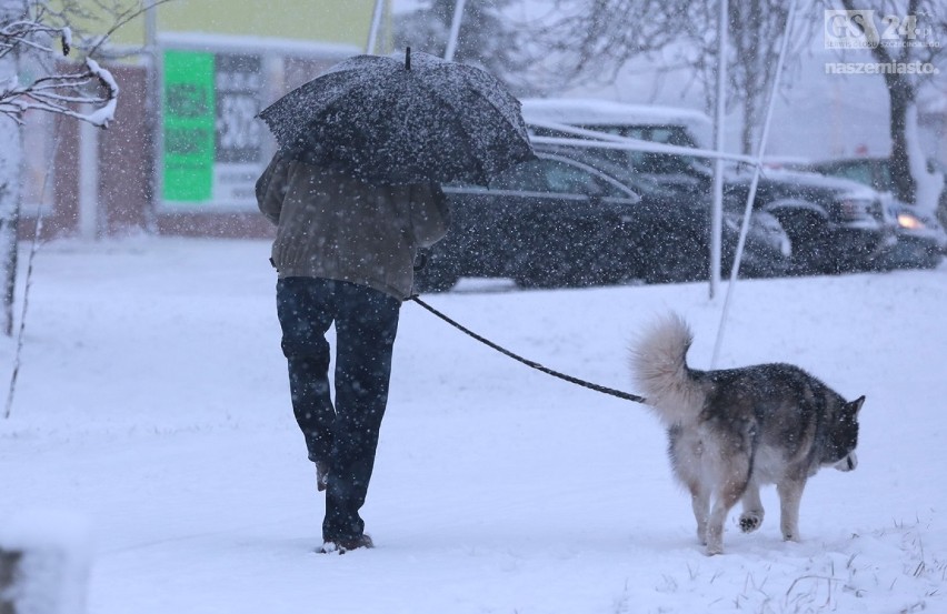 Pogoda w Szczecinie i regionie