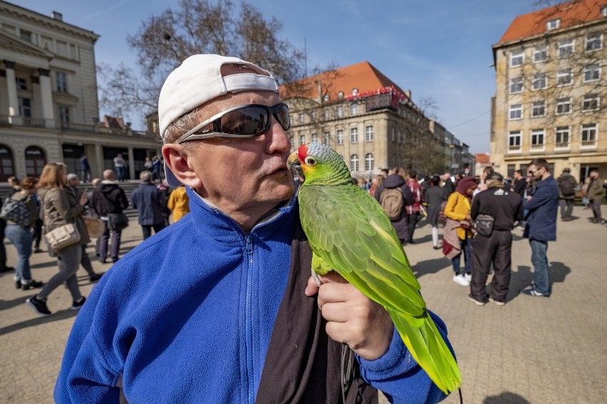 Około 200 osób pojawiło się w sobotę na placu Wolności, aby...