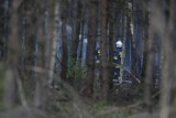 Pożar w lesie obok Krzekotówka. Dym było widać z Głogowa
