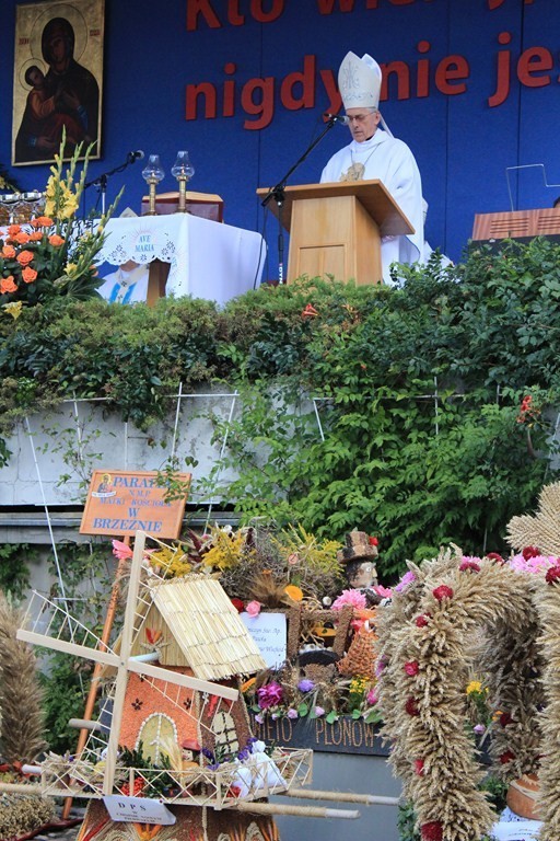 Uroczystości odpustowe w parafii Mariackiej w Chełmie