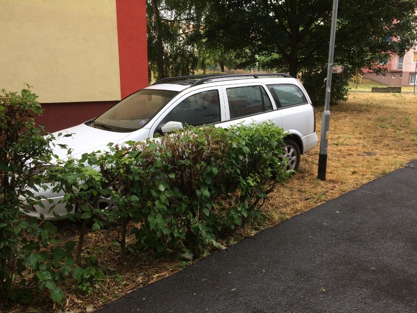 Autodrań przyłapany w Zielonej Górze. Jak on się tutaj znalazł? [ZDJĘCIA CZYTELNICZKI]