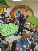 Policja z psem tropiącym w przedszkolu w Rajbrocie. To było spotkanie profilaktyczne dla dzieci. Zdjęcia