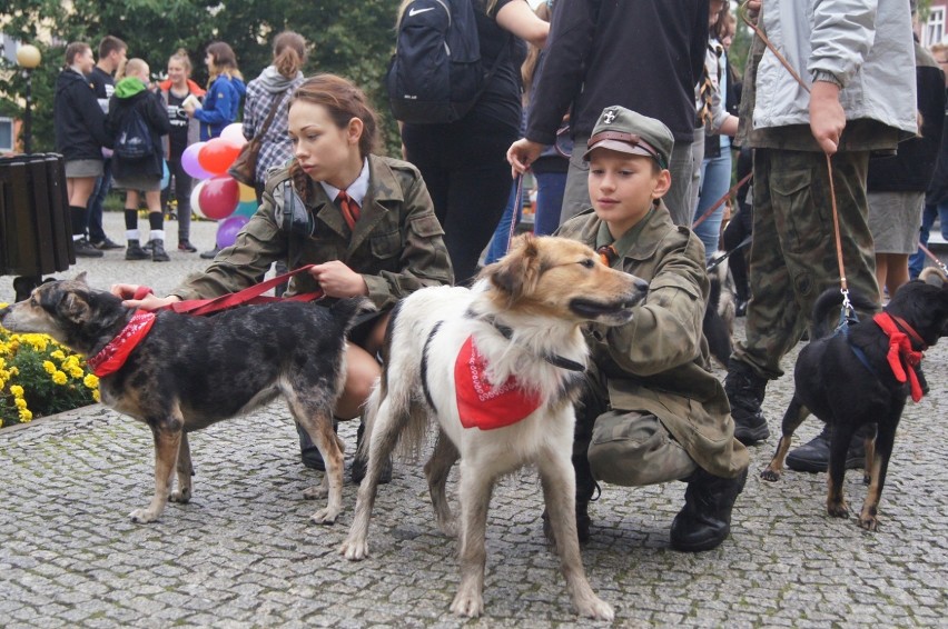 Marsz adopcyjny Towarzystwa Opieki nad Zwierzętami w...