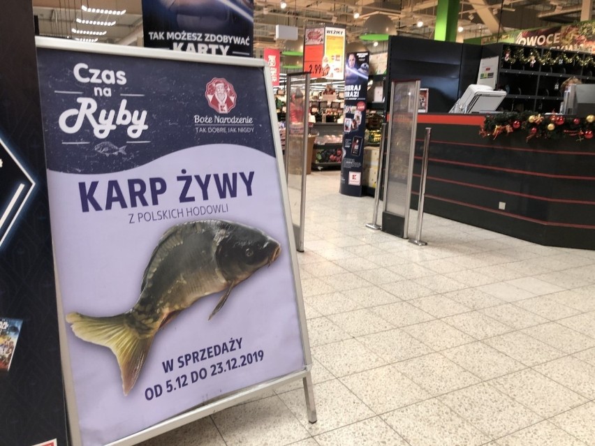 W sklepie Kaufland w Poznaniu sprzedają żywe karpie.