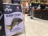 Żywe karpie w Kauflandzie i Carrefourze. Nie wszystkie sklepy wycofują się ze sprzedaży żywych ryb przed świętami