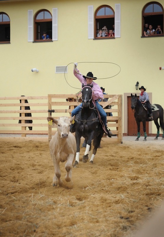 Żory western: Pokazy rodeo - Wild West Show. Zobacz zdjęcia!