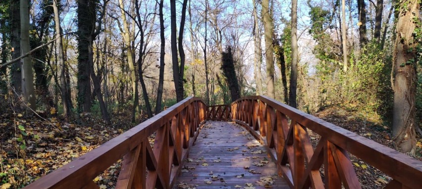 Nowe oblicze parku w Nysie. Zobacz co się zmieni o...