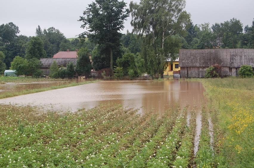 Powódź w gminie Trzyciąż. Najgorzej jest w Małyszycach, Porąbce, Suchej i Glanowie