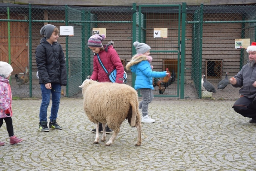 Mikołaj w Lubinie. Rozdał prezenty dzieciom w mini ZOO