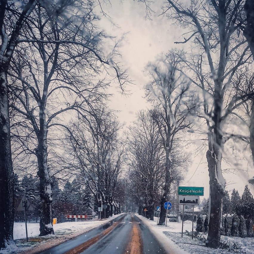Malbork, Nowy Staw. Zimowe widoki w obiektywie Konrada Sosińskiego, a za chwilę odwilż 