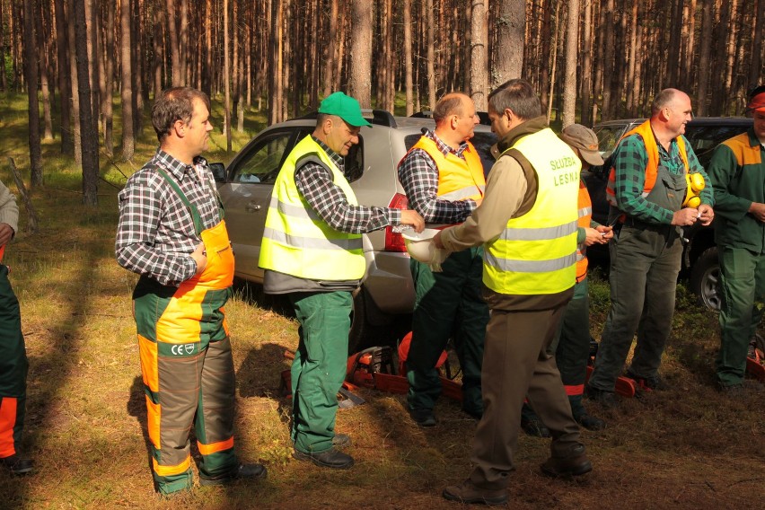 Mistrzowskie cięcie drzew. Nadleśnictwo Miastko zorganizowało konkurs drwali w Starżnie