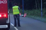 Śmiertelny wypadek w Dziwnówku. Na drodze wojewódzkiej nr 102 zginął motocyklista [ZDJĘCIA]