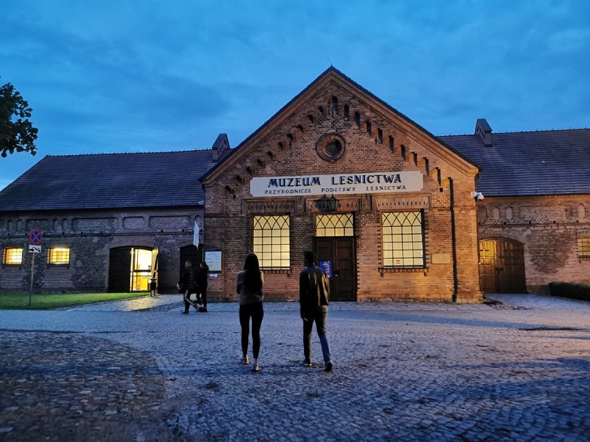 Gmina Gołuchów. Noc Muzeów w Ośrodku Kultury Leśnej w Gołuchowie. Nocne zwiedzanie wystaw w Muzeum Leśnictwa  