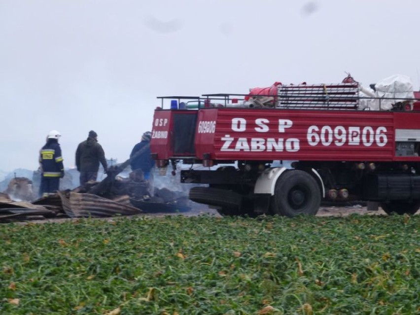 Pożar w Sulejewie Folwarku (1-2.12.2014) strawił stodołę...