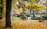 W weekend się dzieje! - sprawdźcie, gdzie można spędzić czas pomysłowo, muzycznie, a nawet charytatywnie